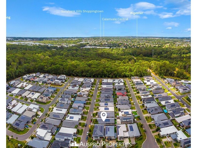 13 Cape Street, Pallara QLD 4110