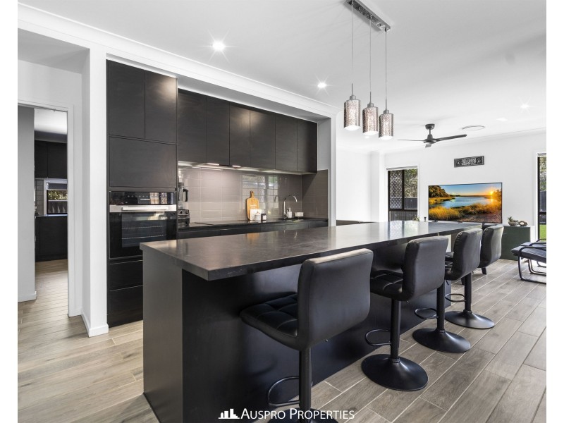 15 Lakeshore Crescent, Willawong QLD 4110