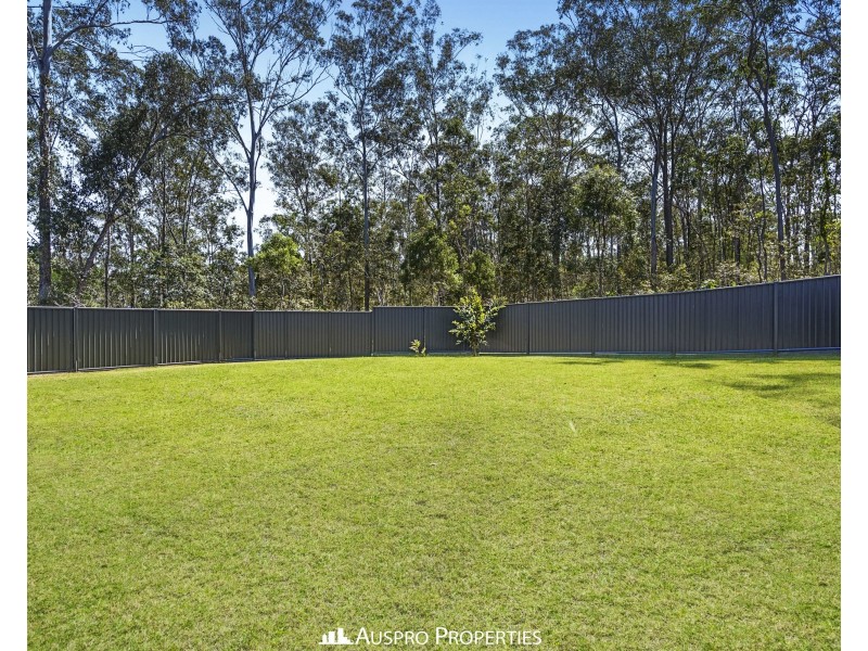 15 Lakeshore Crescent, Willawong QLD 4110
