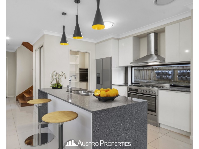 46 Kenneth Street, Coorparoo QLD 4151