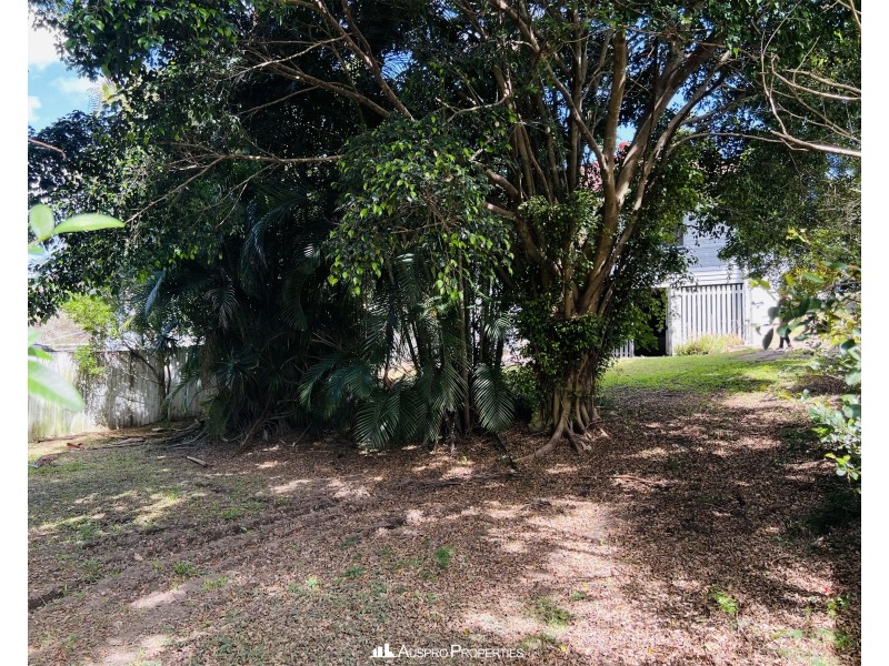 170 Macrossan Avenue, Norman Park QLD 4170