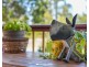 27-29 Brushwood Crescent, Cedar Grove QLD 4285