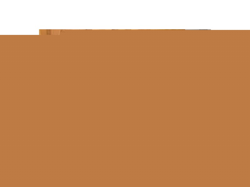 87 Splendour Street, Rochedale QLD 4123