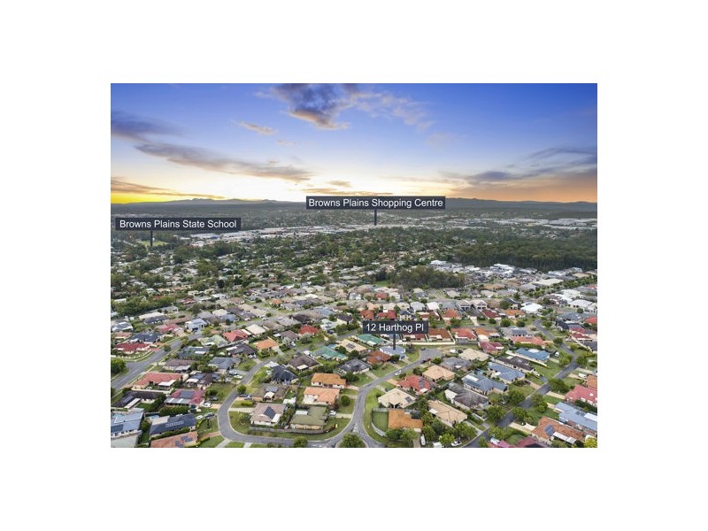 12 Harthog Place, Drewvale QLD 4116