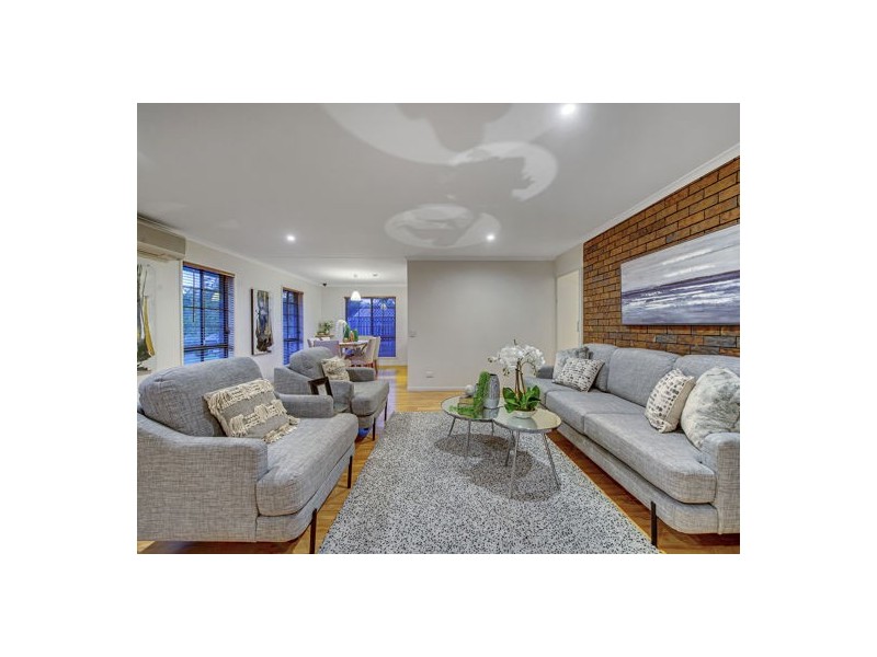 117 Terowi Street, Sunnybank Hills QLD 4109