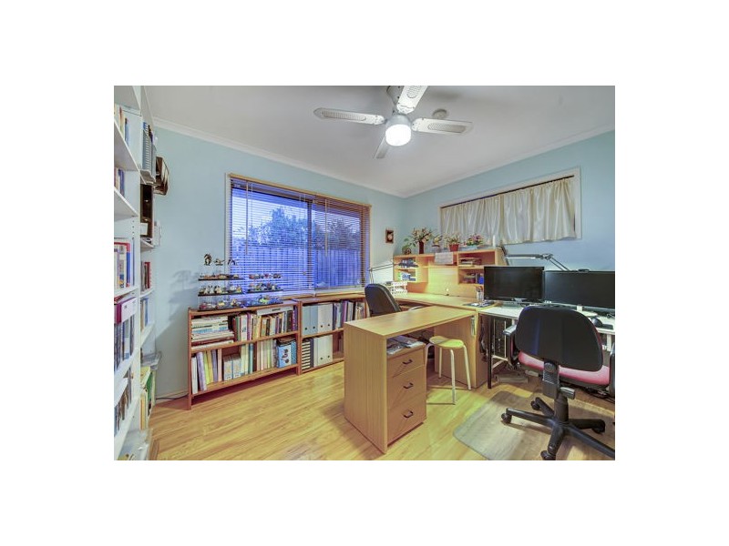 117 Terowi Street, Sunnybank Hills QLD 4109