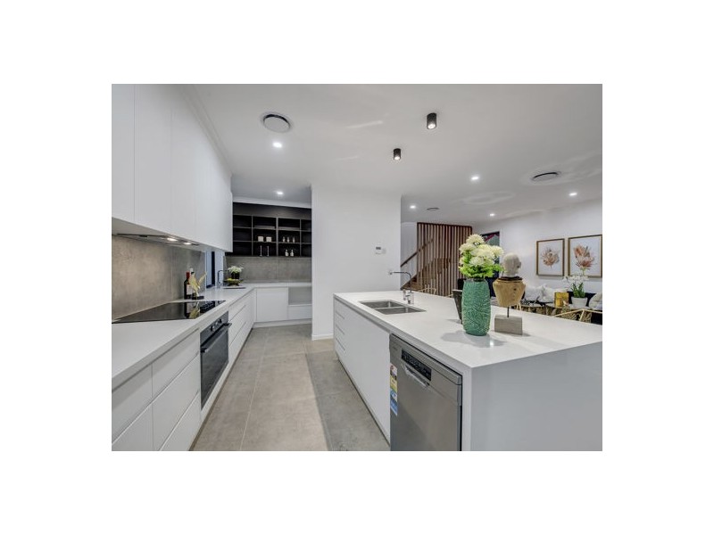 24 Everest Street, Sunnybank QLD 4109