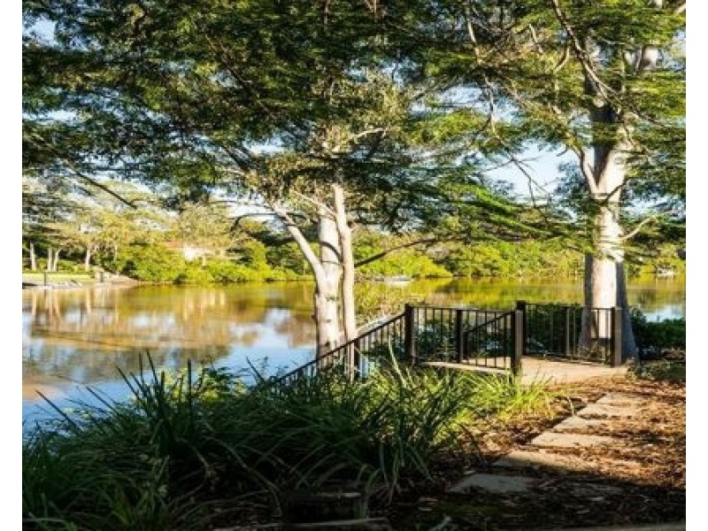 41 Molonga Terrace, Graceville QLD 4075