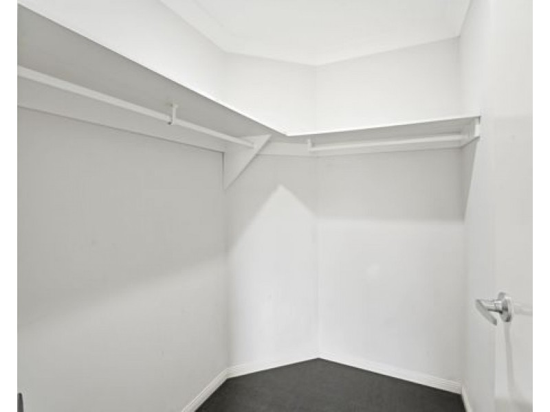 69 Macleay Circuit, Upper Coomera QLD 4209