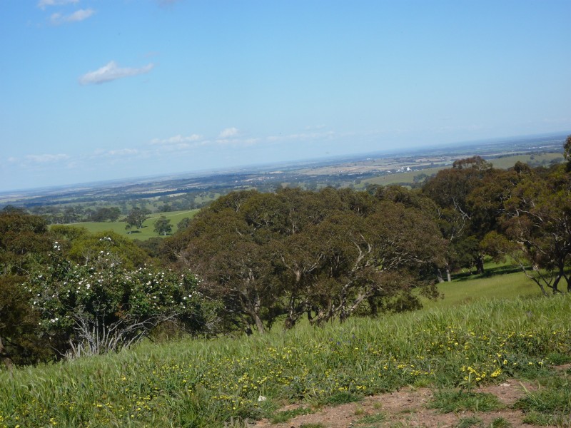 sec 11  Schofields Fire Track, Paris Creek SA 5201