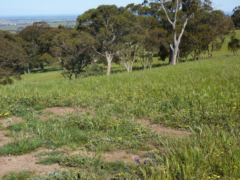 sec 11  Schofields Fire Track, Paris Creek SA 5201