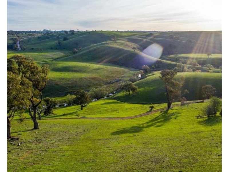 “Kelbri”/121 Blue Hill Rd, Taralga NSW 2580