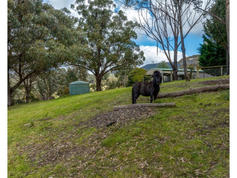 208 Narelle Lane, Towrang NSW 2580