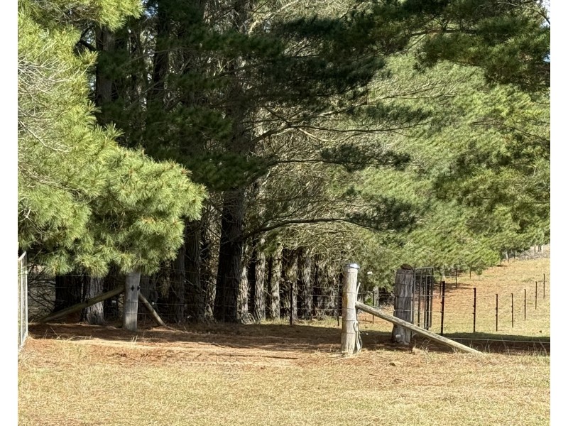 489 Jacqua Rd, Windellama NSW 2580