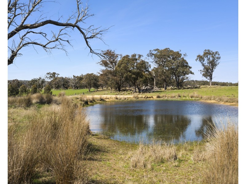 “Sugar Plums”/997 Tyrl Tyrl Road, Golspie NSW 2580