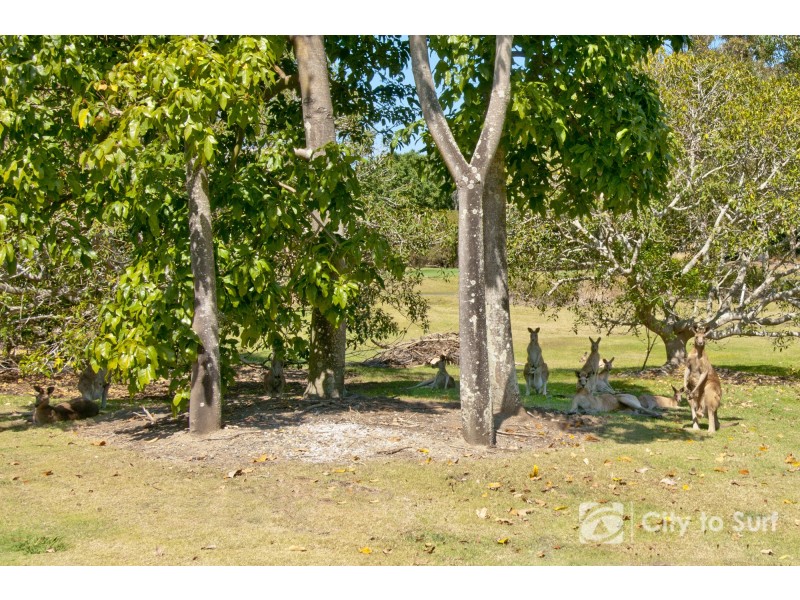 8120 Magnolia Gardens Court, Hope Island QLD 4212