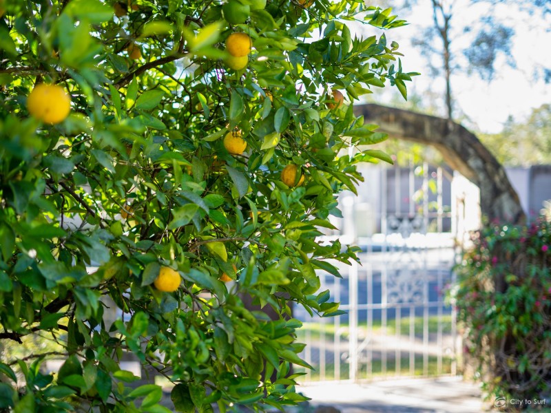 1-3 Nandala Drive, Tanah Merah QLD 4128