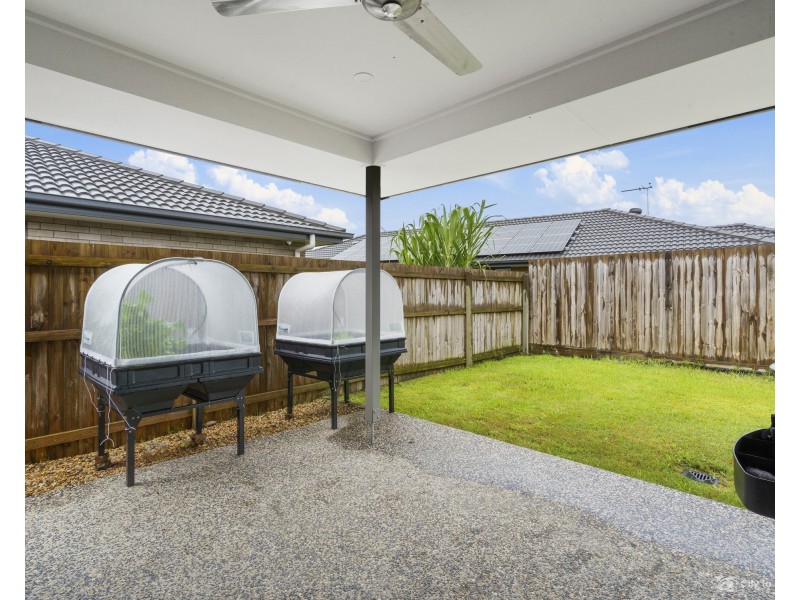 37 Jackson Place, Greenbank QLD 4124