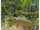 32 Carol Street, Bahrs Scrub QLD 4207