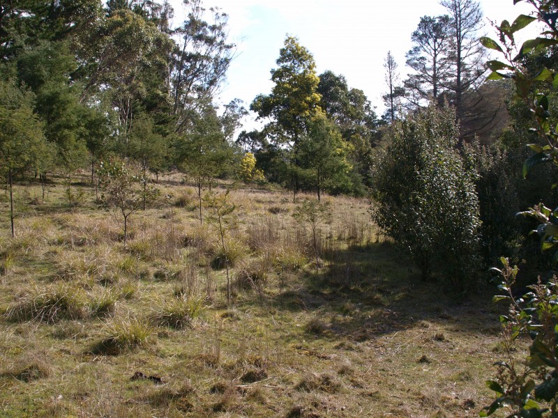 National Park TAS 7140