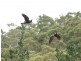 National Park TAS 7140
