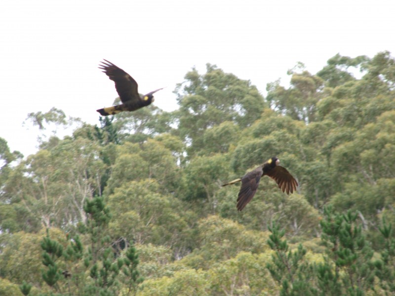 National Park TAS 7140