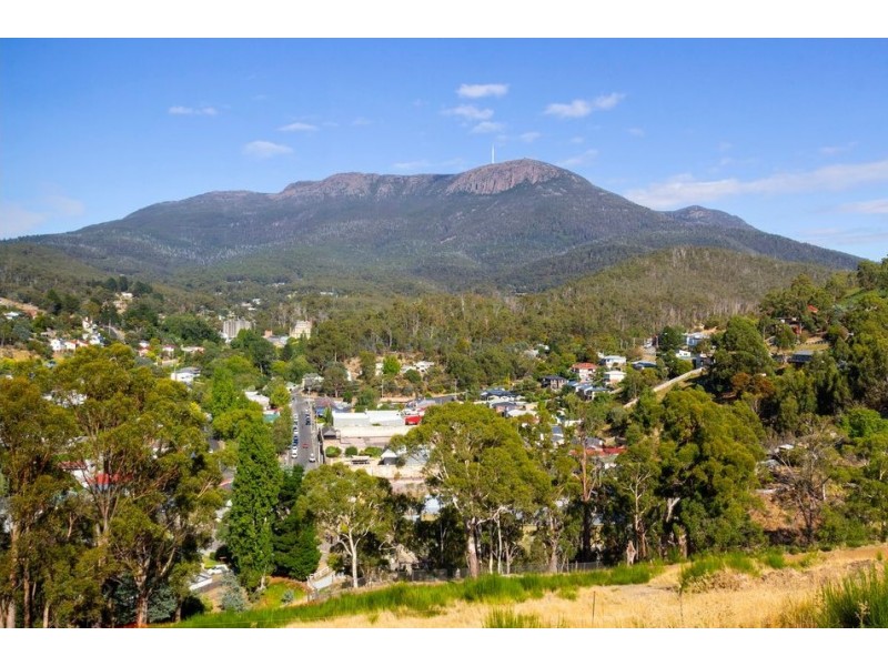 20 Stevens Farm Drive, West Hobart TAS 7000