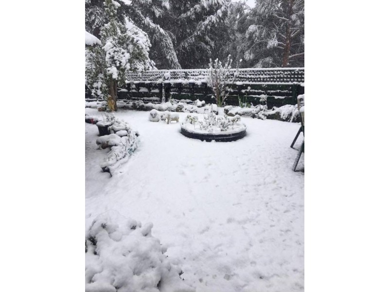 45 Myrtle Forest Road, Collinsvale TAS 7012