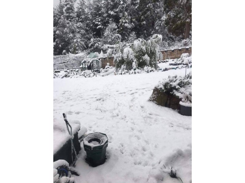 45 Myrtle Forest Road, Collinsvale TAS 7012