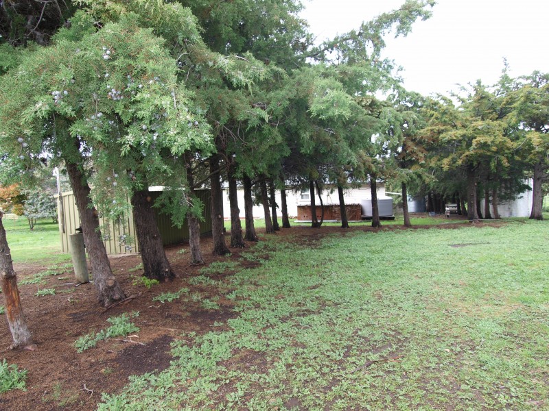 830 Middle Tea Tree Road, Tea Tree TAS 7017