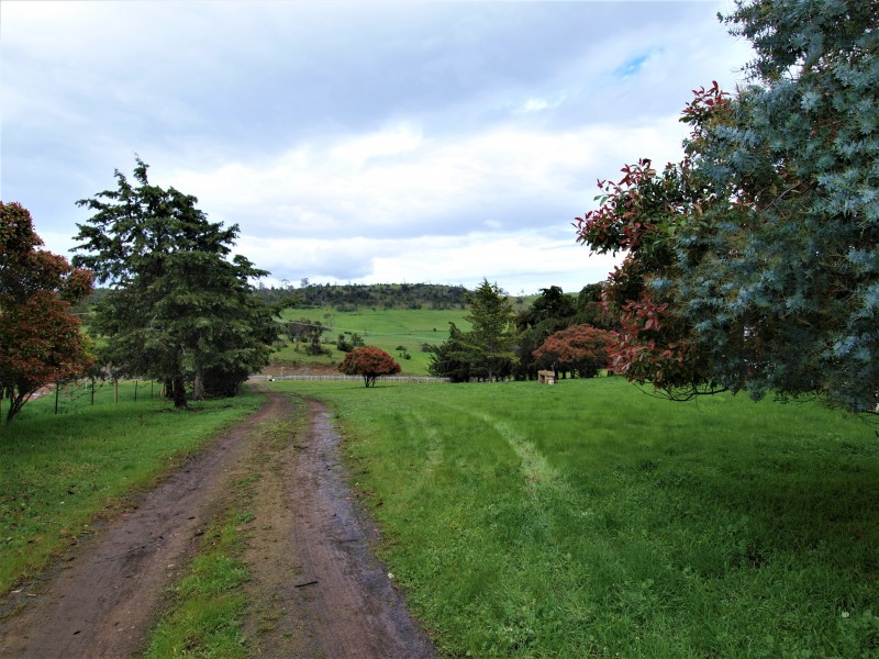830 Middle Tea Tree Road, Tea Tree TAS 7017
