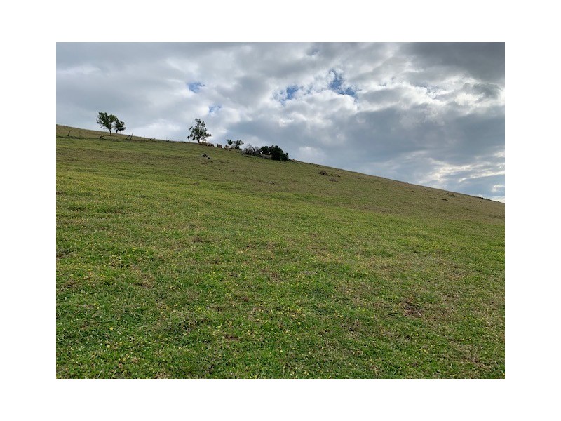 1064 Tea Tree Rd, Tea Tree TAS 7017