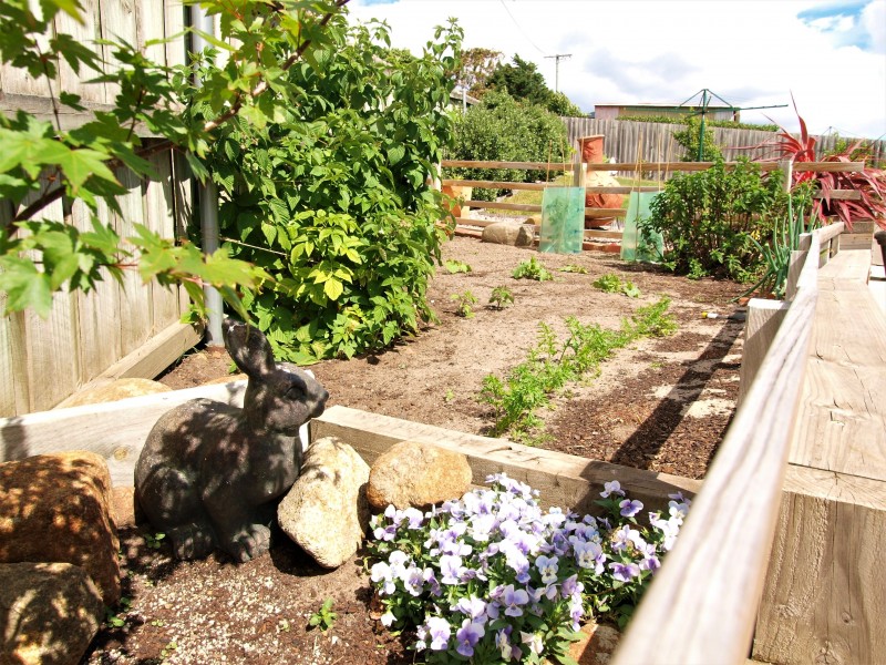 143  Bowen Road, Lutana TAS 7009