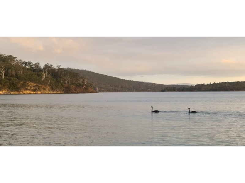 ‘The Moorings’/228 Randalls Bay Road, Randalls Bay TAS 7112