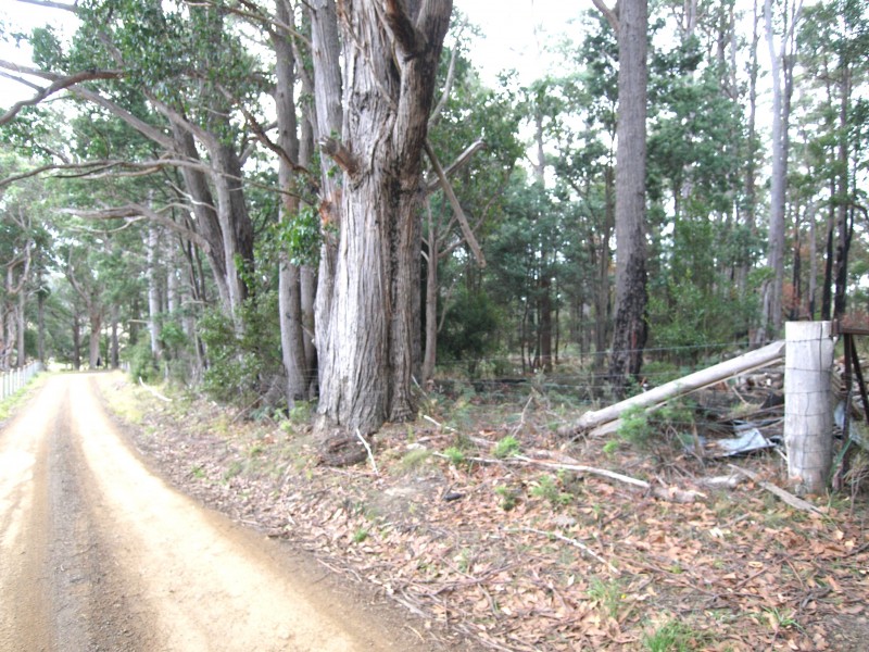 43 Feil Road, Mount Lloyd TAS 7140