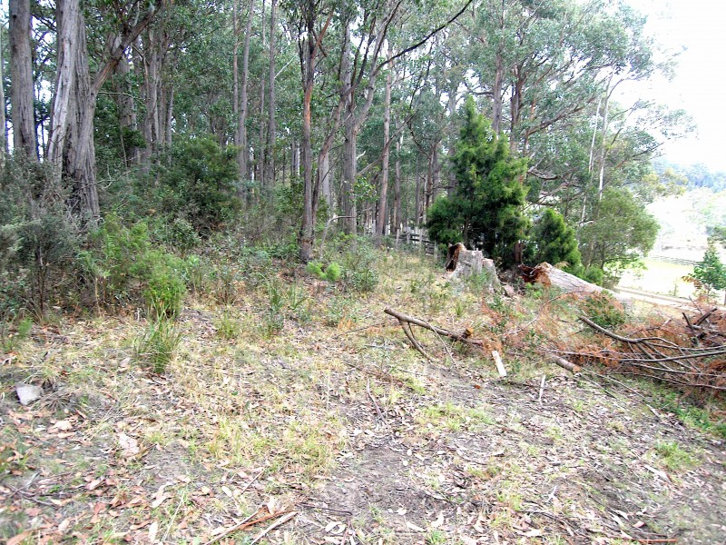 43 Feil Road, Mount Lloyd TAS 7140