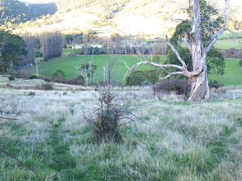 7 Moores Road, Lachlan TAS 7140