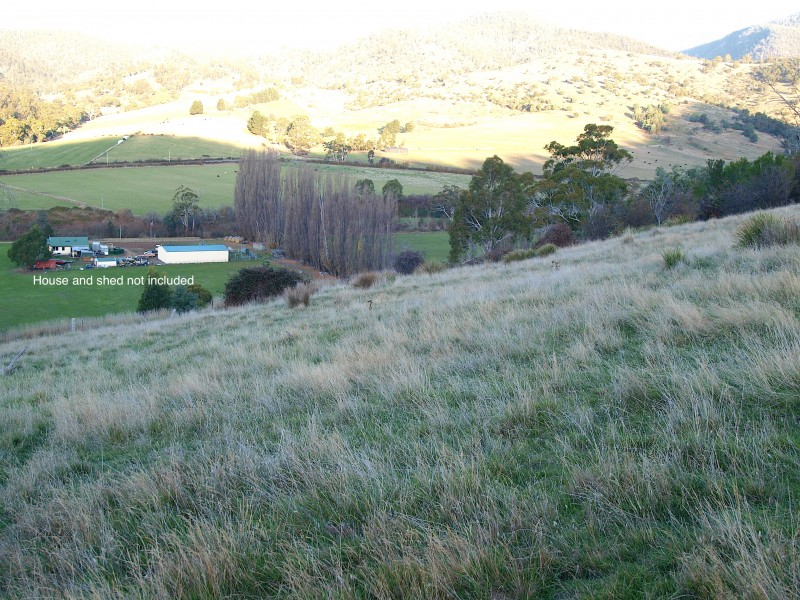 7 Moores Road, Lachlan TAS 7140