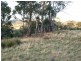 7 Moores Road, Lachlan TAS 7140