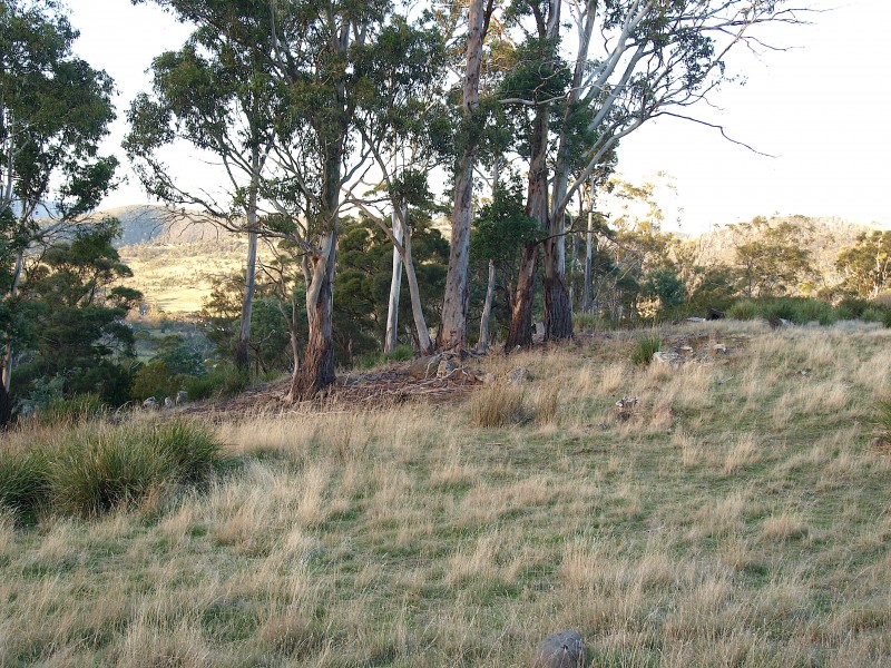 7 Moores Road, Lachlan TAS 7140