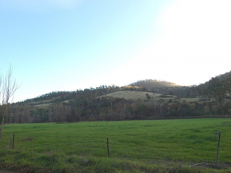 7 Moores Road, Lachlan TAS 7140