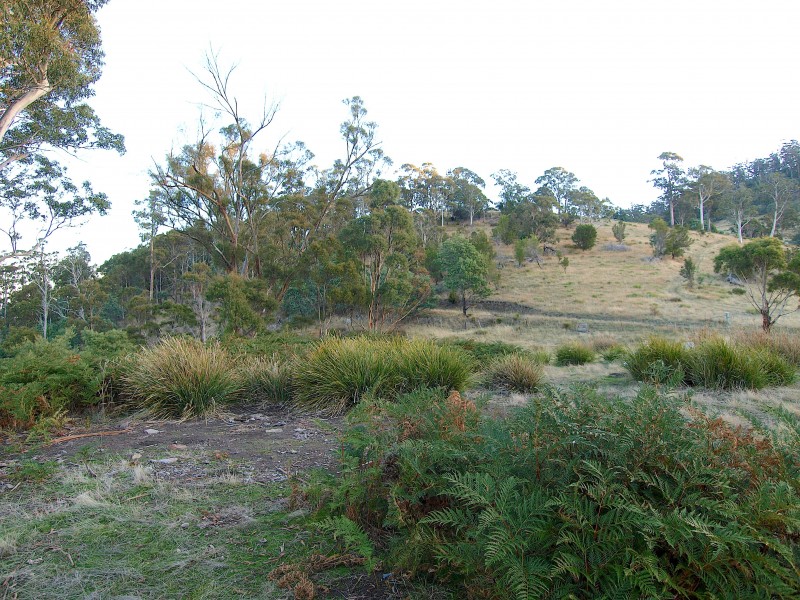 7 Moores Road, Lachlan TAS 7140