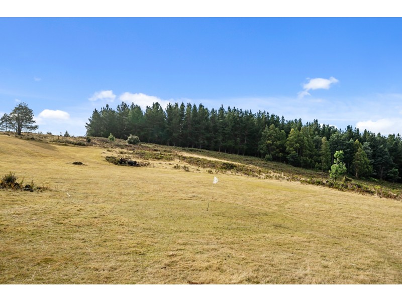 303 Rinadena Road, Moogara TAS 7140