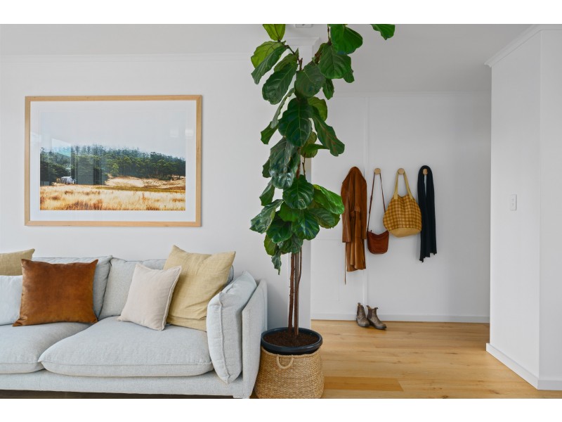 11/351 Sandy Bay Road, Sandy Bay TAS 7005