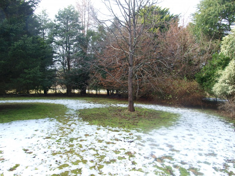 239 Springdale Road, Collinsvale TAS 7012