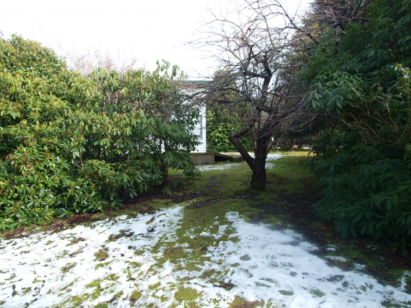 239 Springdale Road, Collinsvale TAS 7012