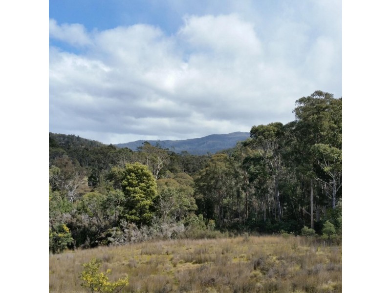 Lot 2909277 Gordon River Road, National Park TAS 7140