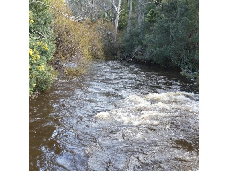 Lot 2909277 Gordon River Road, National Park TAS 7140