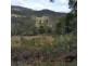 Lot 2909277 Gordon River Road, National Park TAS 7140