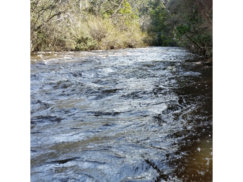 Lot 2909277 Gordon River Road, National Park TAS 7140